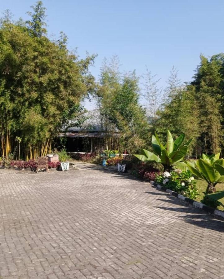 Le Bambou Gorilla Lodge Kinigi Luaran gambar