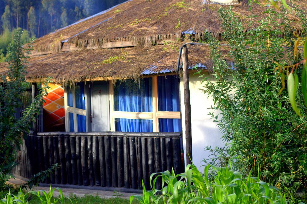 Le Bambou Gorilla Lodge Kinigi Bilik gambar