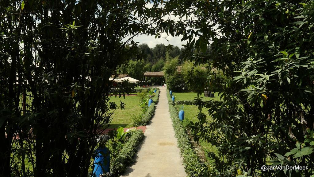 Le Bambou Gorilla Lodge Kinigi Luaran gambar
