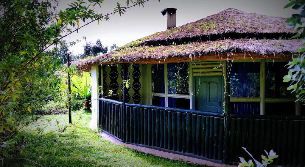 Le Bambou Gorilla Lodge Kinigi Luaran gambar